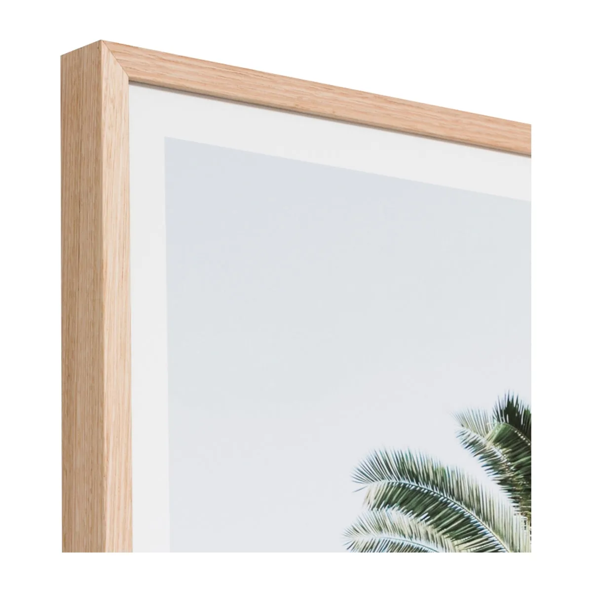 Caribbean Palm Colour Print