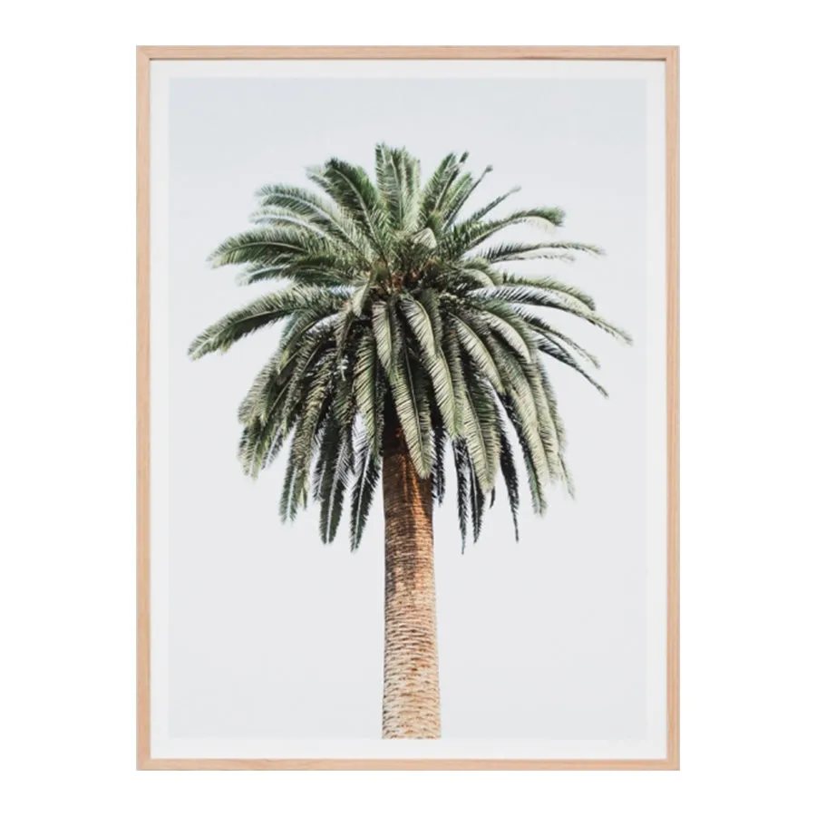 Caribbean Palm Colour Print
