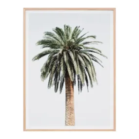 Caribbean Palm Colour Print